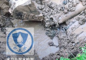 道里区水管漏水检测公司5